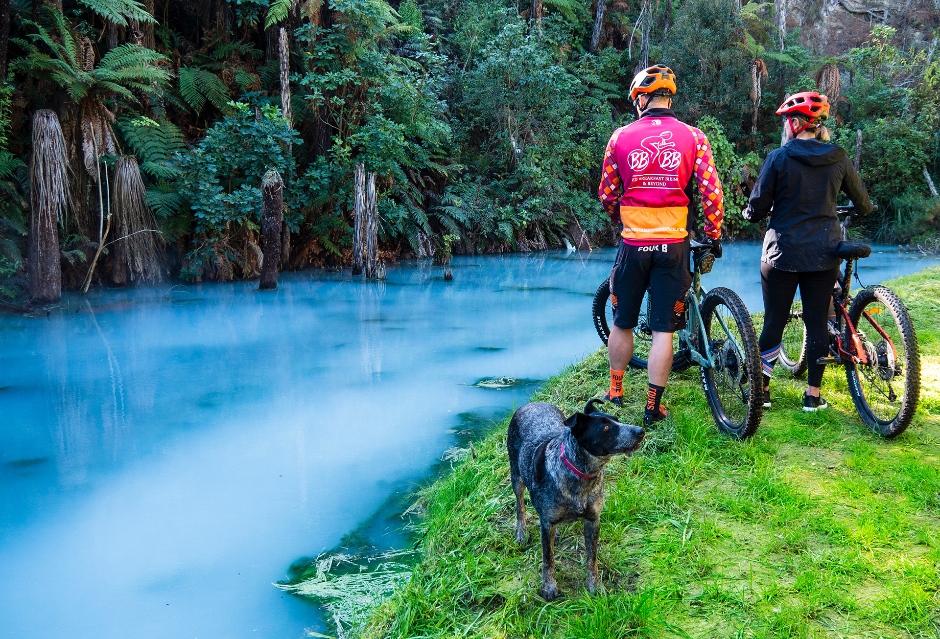 How To Ride Taupo's Great Lake Trails | Taupo Official Website